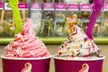 $10 for $20 Worth Of Frozen Yogurt and More - Second Medium
