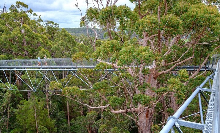 Image 8: Southern Experience 3 Day Tour