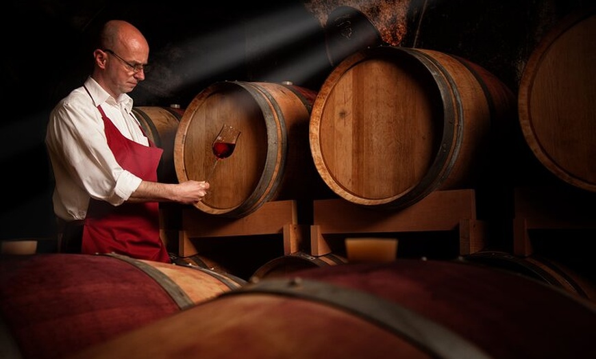 Image 7: Excursión a Logroño y Laguardia con visita a bodega desde Vitoria