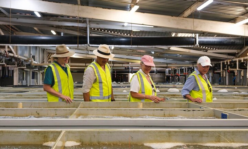 Image 3: Behind-The-Scenes Ocean Harvest Tour