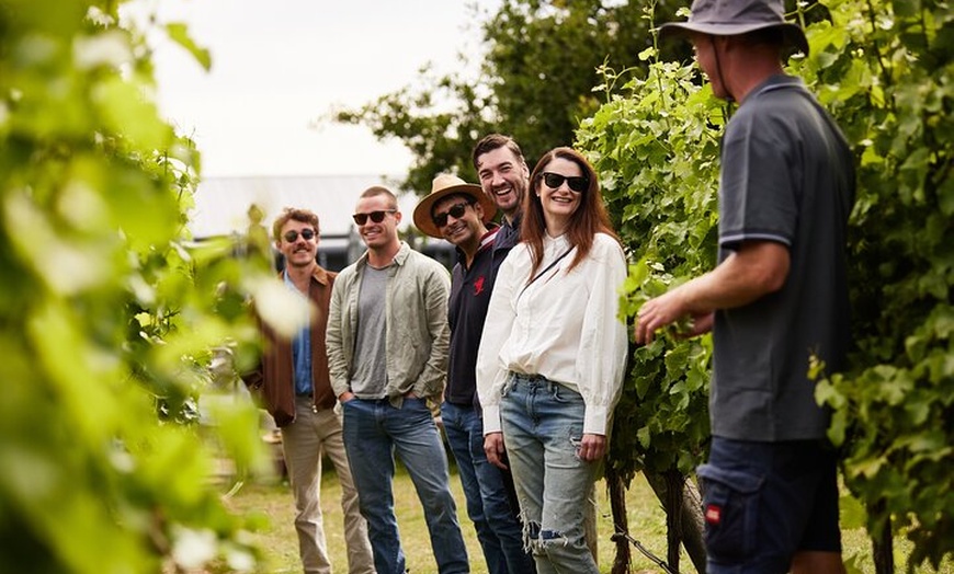 Image 4: Richmond and Wine Tour