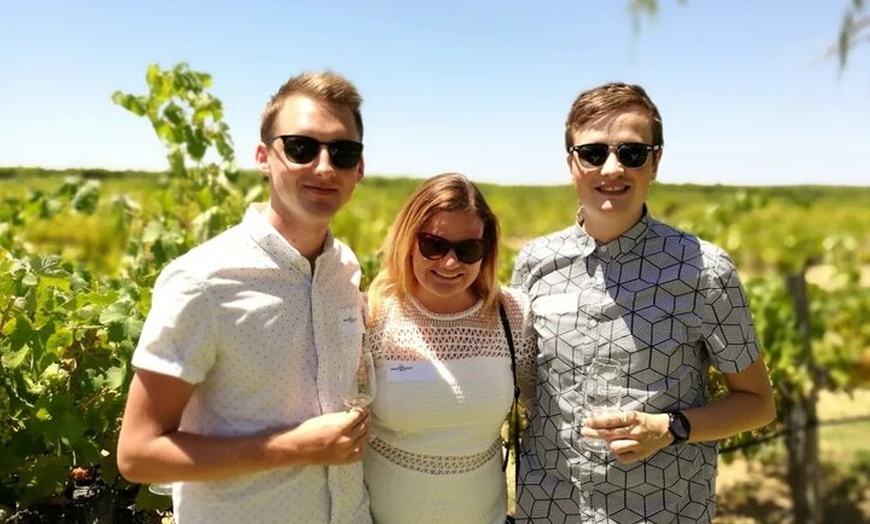 Image 4: Swan Valley Tour from Perth: Wine, Beer and Chocolate Tastings