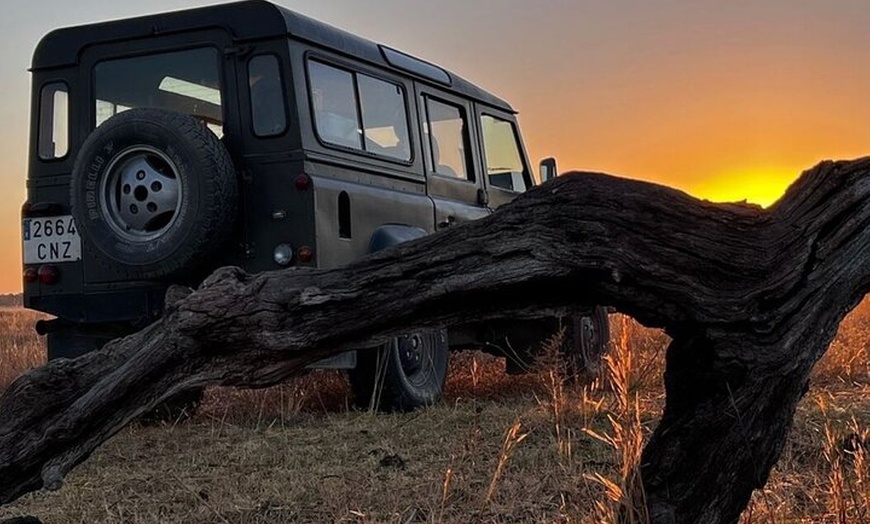 Image 4: Experiencia Guiada en Doñana en 5 Sentidos