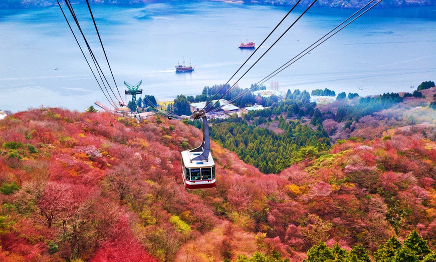Image 16: ✈ GIAPPONE | - Essenziali Giappone e Corea del Sud - Tour