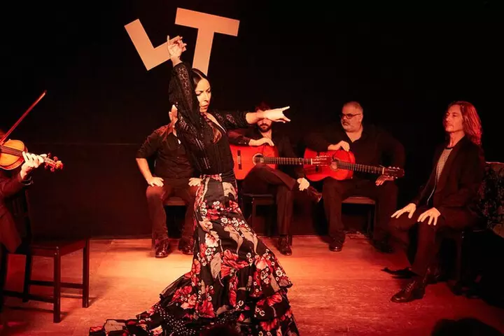 Visita guiada Segovia y Ávila y espectáculo flamenco en Madrid