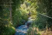 Zip Zoom Ziplines at La Jolla Indian Adventure Park - Second Medium