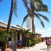 Image 11: Isla Mujeres Catamaran Cruise and Beach Club from Riviera Maya