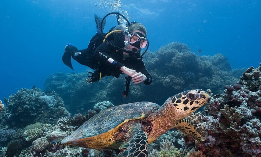 Image 3: Coral Sea Dreaming Overnight Dive, Snorkel and Sail