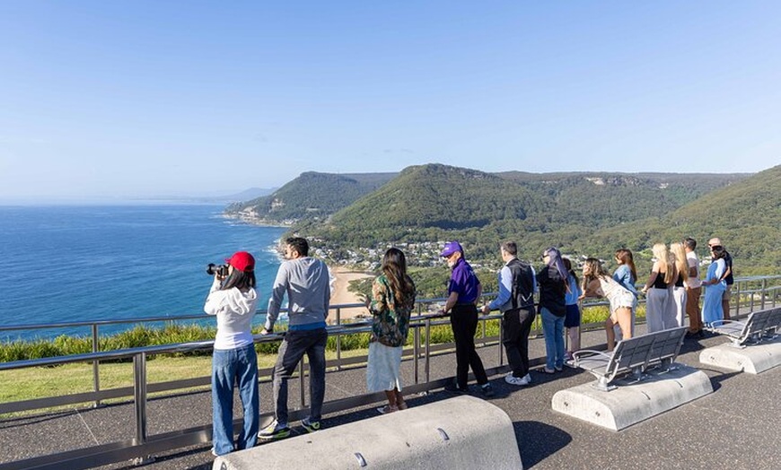 Image 5: All Inclusive Jervis Bay Day Tour Dolphin Cruise, Lunch &Blowhole