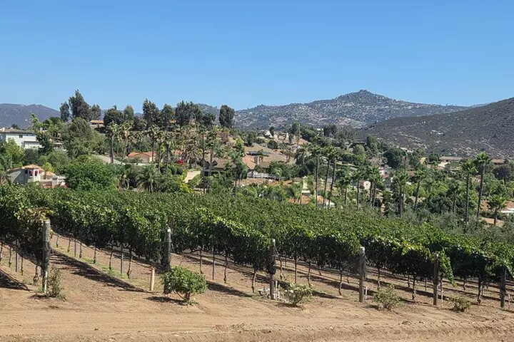 San Diego County Wine Tour (Private)