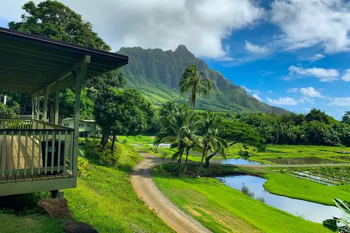 Kualoa Ranch - Kualoa Grown Tour - Primary Image