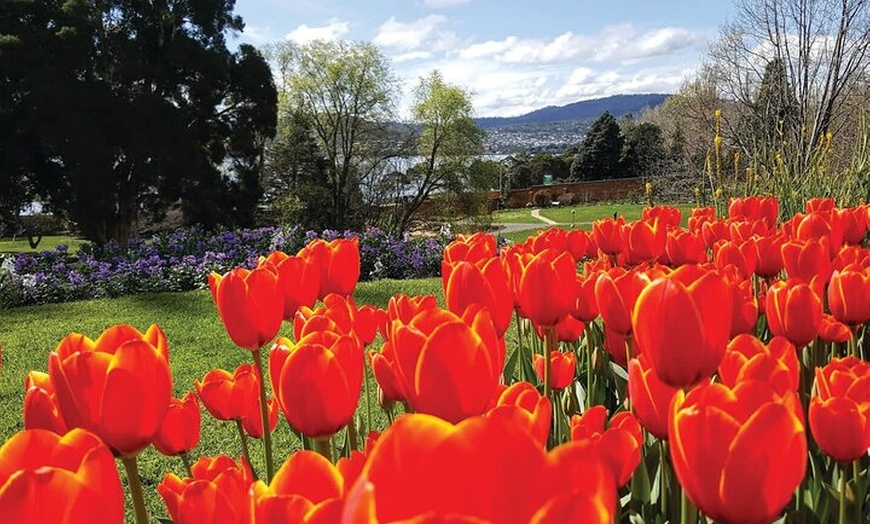 Image 4: Hobart Half-Day Sightseeing City Tour