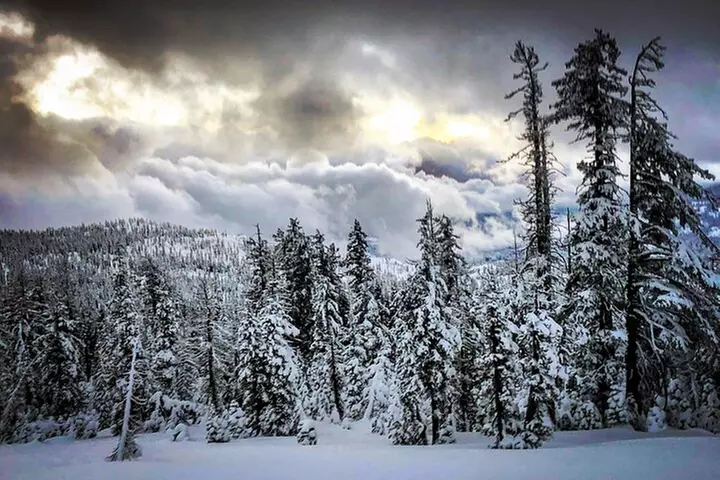 Lake Tahoe: Sunset Snowshoe Trek with Hot Drinks and Snacks