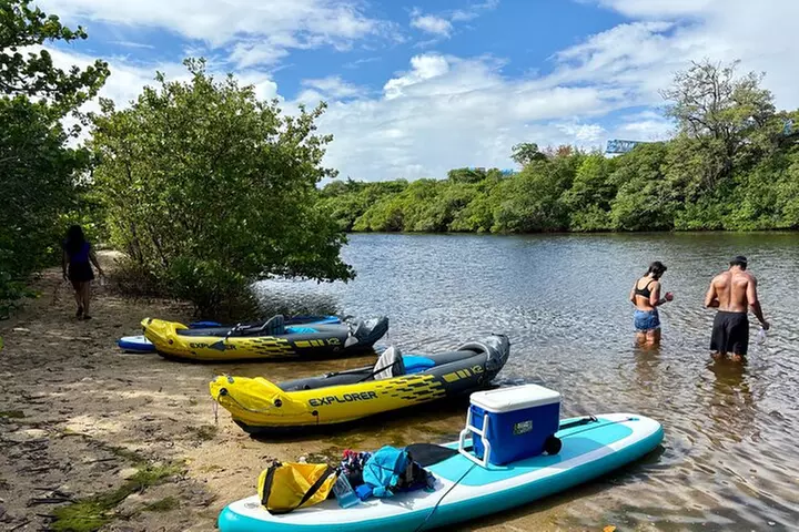 Fort Lauderdale: Kayak/SUP on Mangroves w/ Snacks & Drinks
