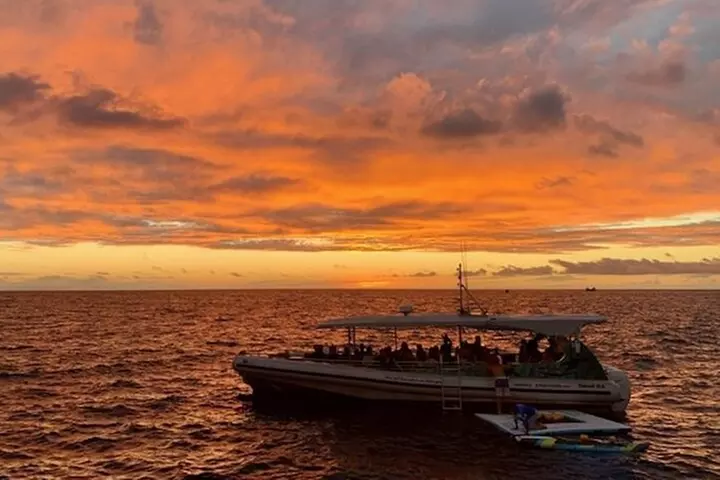 Manta Ray Night Snorkel Tour in Kailua-Kona, Big Island