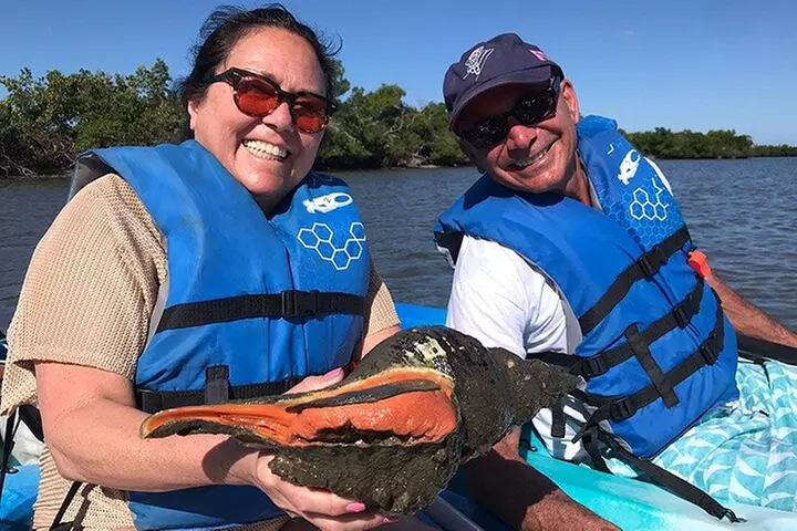 Rookery Bay Kayak Adventure – Mangroves, Wildlife & Photos