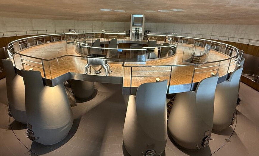 Image 4: Visite des Vins de Bordeaux Les Graves Pessac Leognan