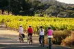 Half Day Guided Electric Bike Wine Tasting Tour with Lunch - Second Medium