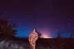 Hawaii's GOAT Experience: Mauna Kea Summit, Sunset & Stars - Second Medium