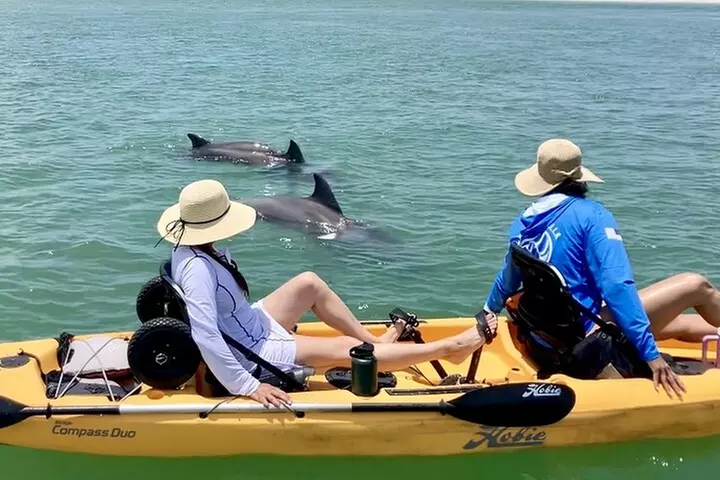 Exclusive Relax & Explore Pedal Kayak Tour Marco Island & Naples