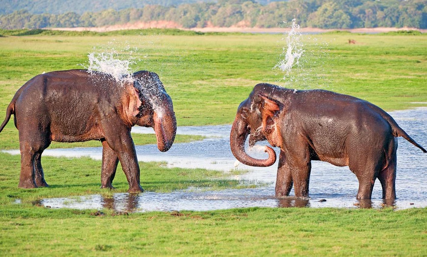 Image 22: ✈ INDIA | From Delhi to Colombo - Enchanting Getaways in India and ...