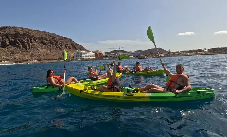 Image 8: Avistamiento de Tortugas y Delfines de Tour de Kayak y Snorkeling