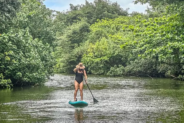 Stand Up Paddle Boarding Adventure in Windward Oahu - Primary Image