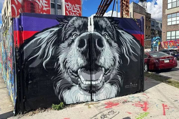 Brooklyn Bushwick and Williamburg French Tour
