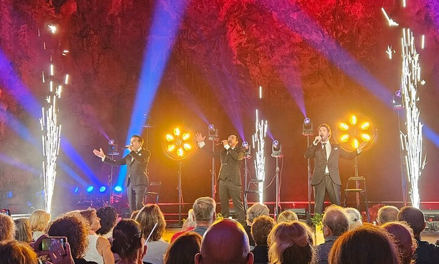 Image 5: Excursión a las cuevas de Canelobre y Busot con traslado desde Alic...