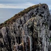 Image 13: Hobart: Cape Hauy Adventure Hike - rugged cliffs & wild beauty