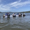 Image 4: Hawkesbury River Oyster lease tour then visit a seaside village