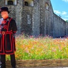 Image 10: Exclusive Beefeater Meet & Greet at the Tower of London