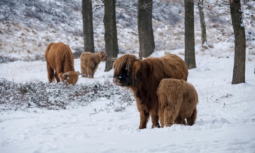 Image 24: 3 Day Private Tour of Isle of Skye, Glencoe, Inverness, Loch Ness