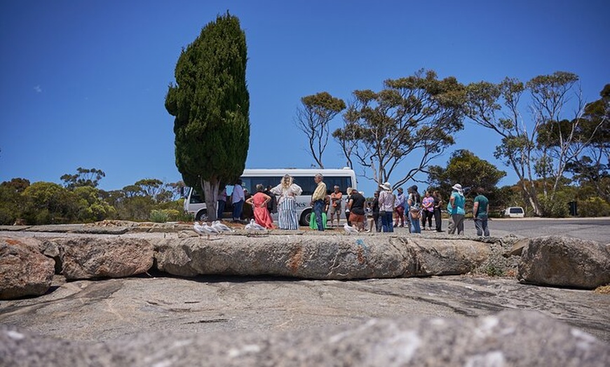 Image 5: 1 Day Aboriginal Cultural Tour of Port Lincoln