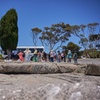 Image 5: 1 Day Aboriginal Cultural Tour of Port Lincoln