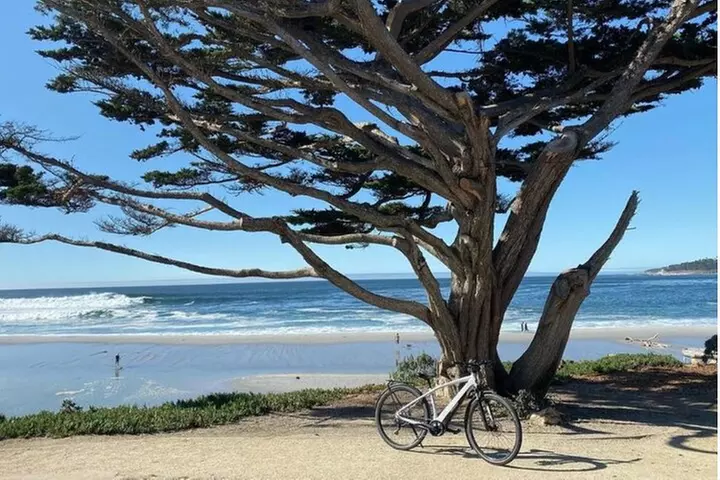 Carmel-By-The-Sea Electric Bike Guided Tour