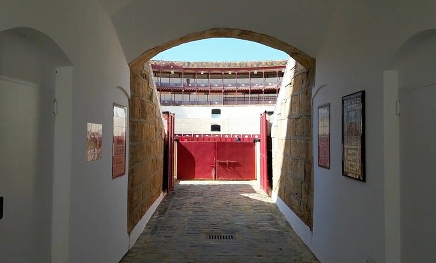 Image 4: Tour por Plaza de Toros y Museo Taurino de Málaga con Audioguía