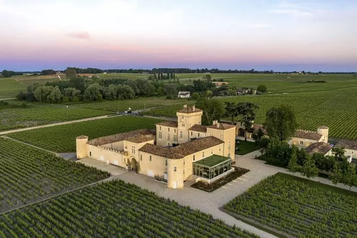 Visite privée des vignobles de Sauternes : L'or liquide de Bordeaux - Primary Image
