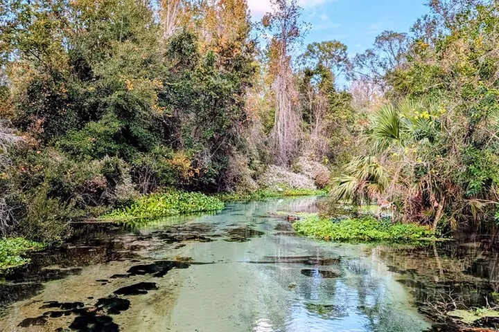 Rock Springs River Tubing & Apopka Wildlife Adventure with Pickup