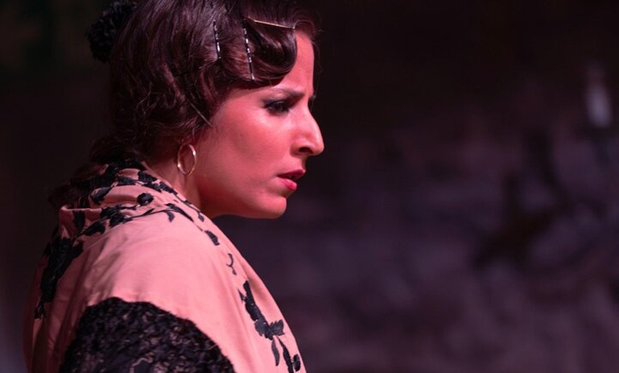 Image 17: Espectáculo de flamenco en el Palacio Dalmases de Barcelona