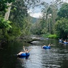 Image 3: Self-Guided River Tubing Adventure on the Yarra River