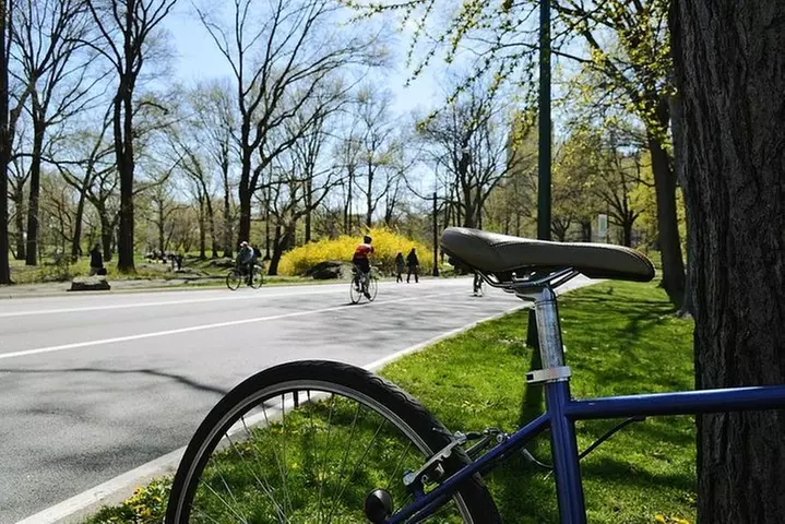 Central Park Bike Hire - Second Medium