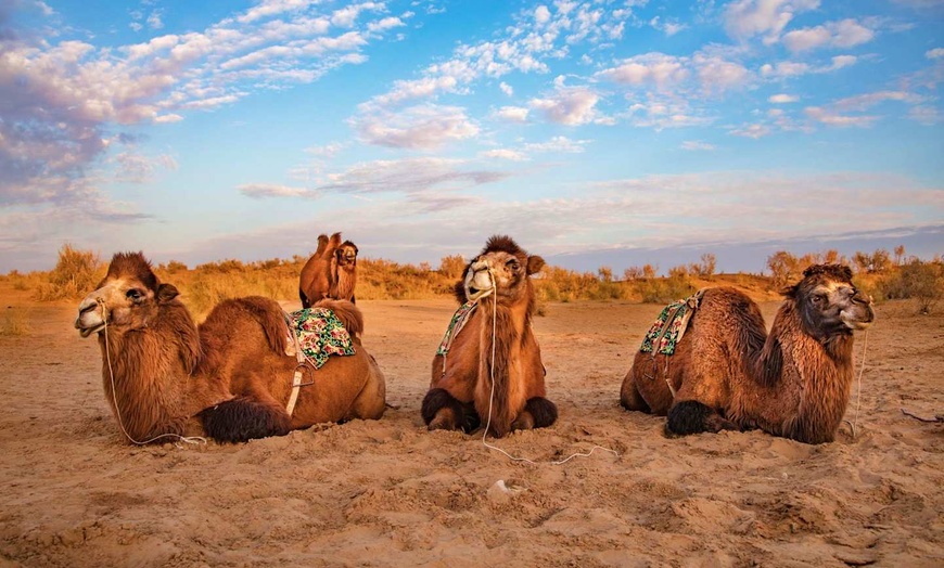 Image 26: ✈ USBEKISTAN | Taschkent - Strahlende Städte Usbekistans, 9 Nächte ...
