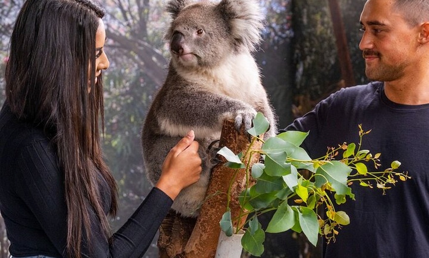 Image 7: Perth Day Tour: Dolphin Cruise, Wildlife Park, and Swan Valley