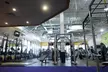 $32.50 For 1 Month Membership - Includes Joining Fee (Reg. $65) - Second Medium