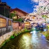 Image 24: ✈ GIAPPONE | Da Tokyo a Osaka - Paradiso Giapponese: Tokyo, Kyoto, ...