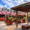 Image 3: Cancun Walking Tour: Explore Top Sights & Hidden Gems