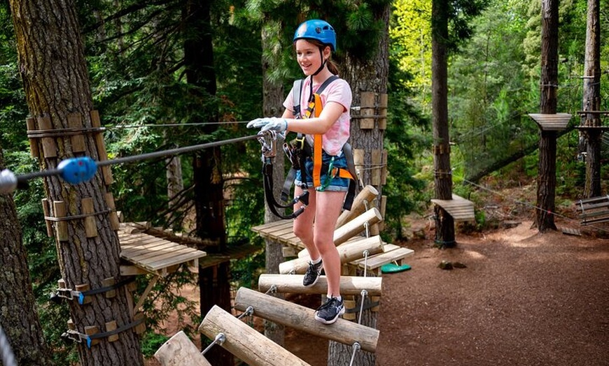 Image 4: Launceston Hollybank Tree Ropes Experience