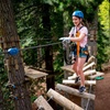 Image 4: Launceston Hollybank Tree Ropes Experience