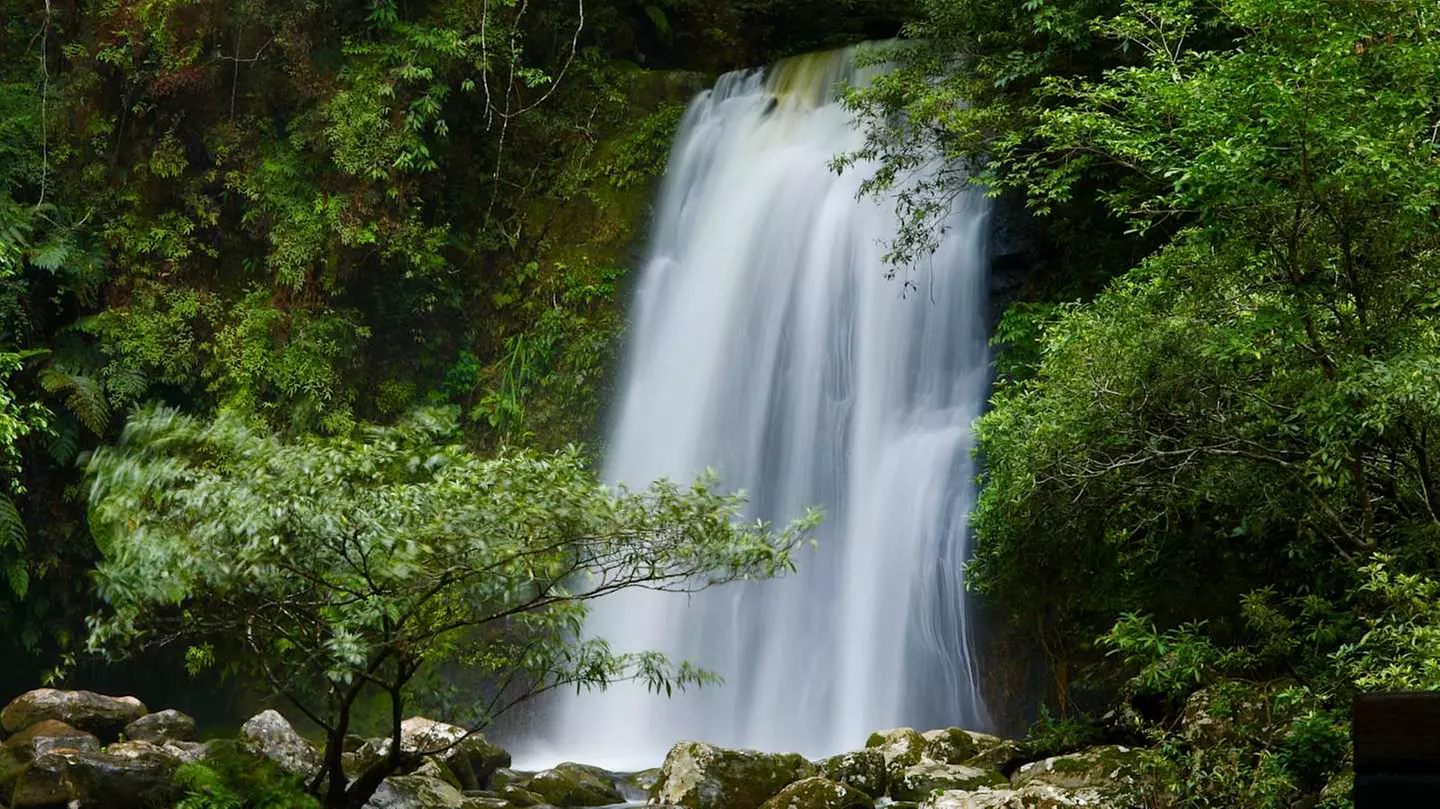 ✈ LAOS | Luang Prabang - Entdecken Sie das wilde, spirituelle und a...